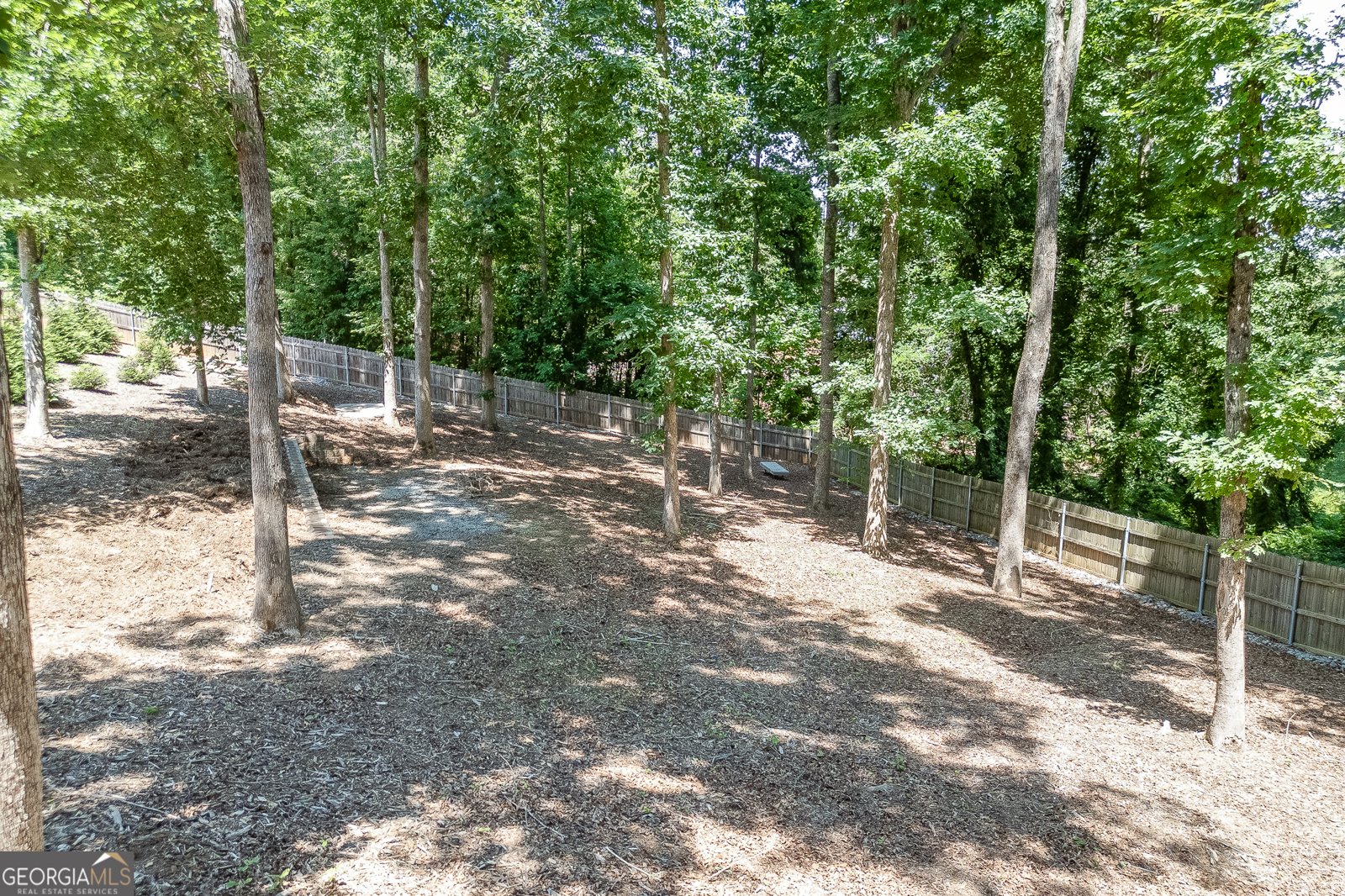 3803 Carter Road Buford - Photo 51
