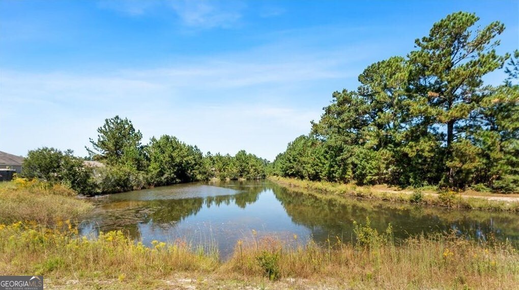 23 Crossgate Way Guyton - Photo 41