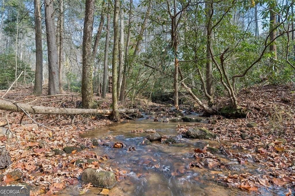 491 Old Parker Terrace Ellijay - Photo 34