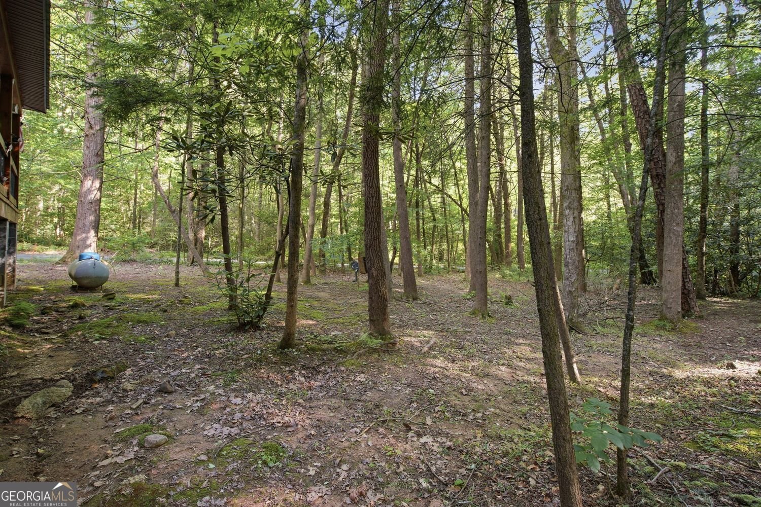 491 Old Parker Terrace Ellijay - Photo 37