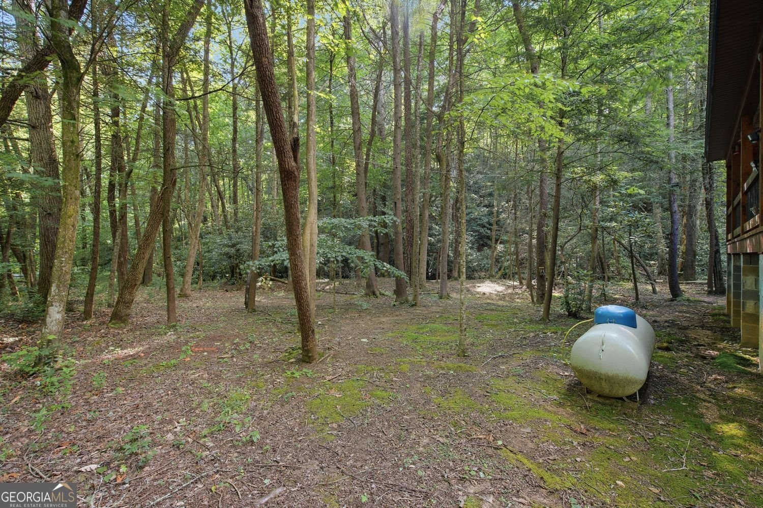 491 Old Parker Terrace Ellijay - Photo 38