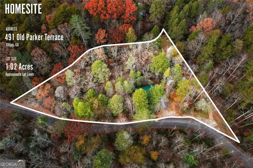 491 Old Parker Terrace Ellijay - Photo 42