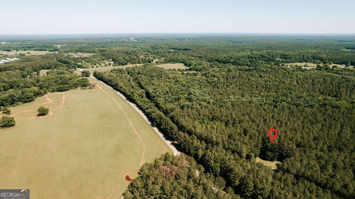 252 Sandy Cross Road Lexington - Photo 48