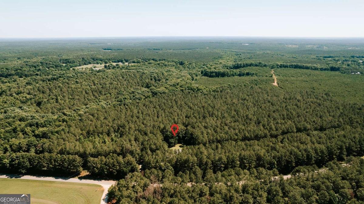 252 Sandy Cross Road Lexington - Photo 51