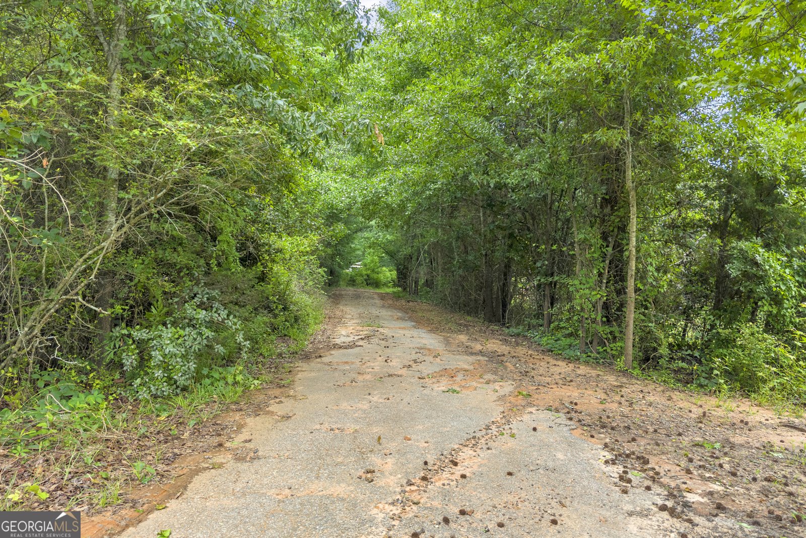 200 Chenault Road Townville - Photo 71