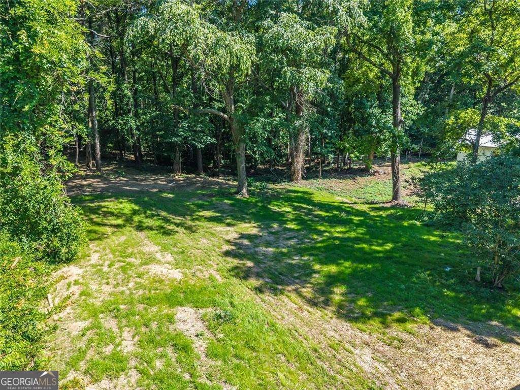 2811 Eunice Holcomb Circle Dacula - Photo 29