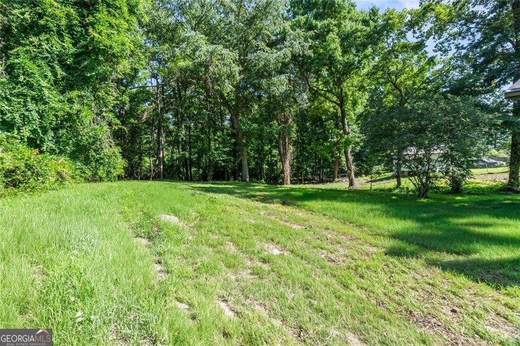 2811 Eunice Holcomb Circle Dacula - Photo 30