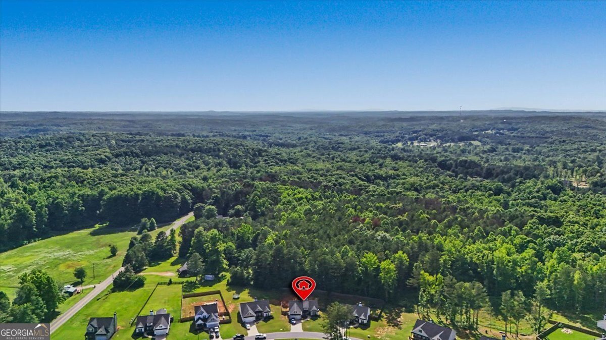 119 Holly Farms Court Rockmart - Photo 50