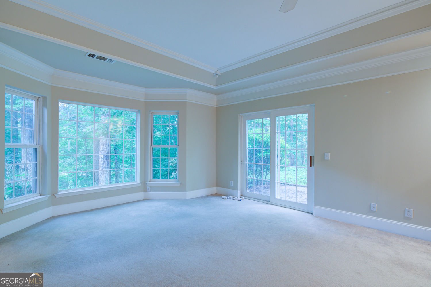 8010 Scudder Way Ball Ground - Photo 33