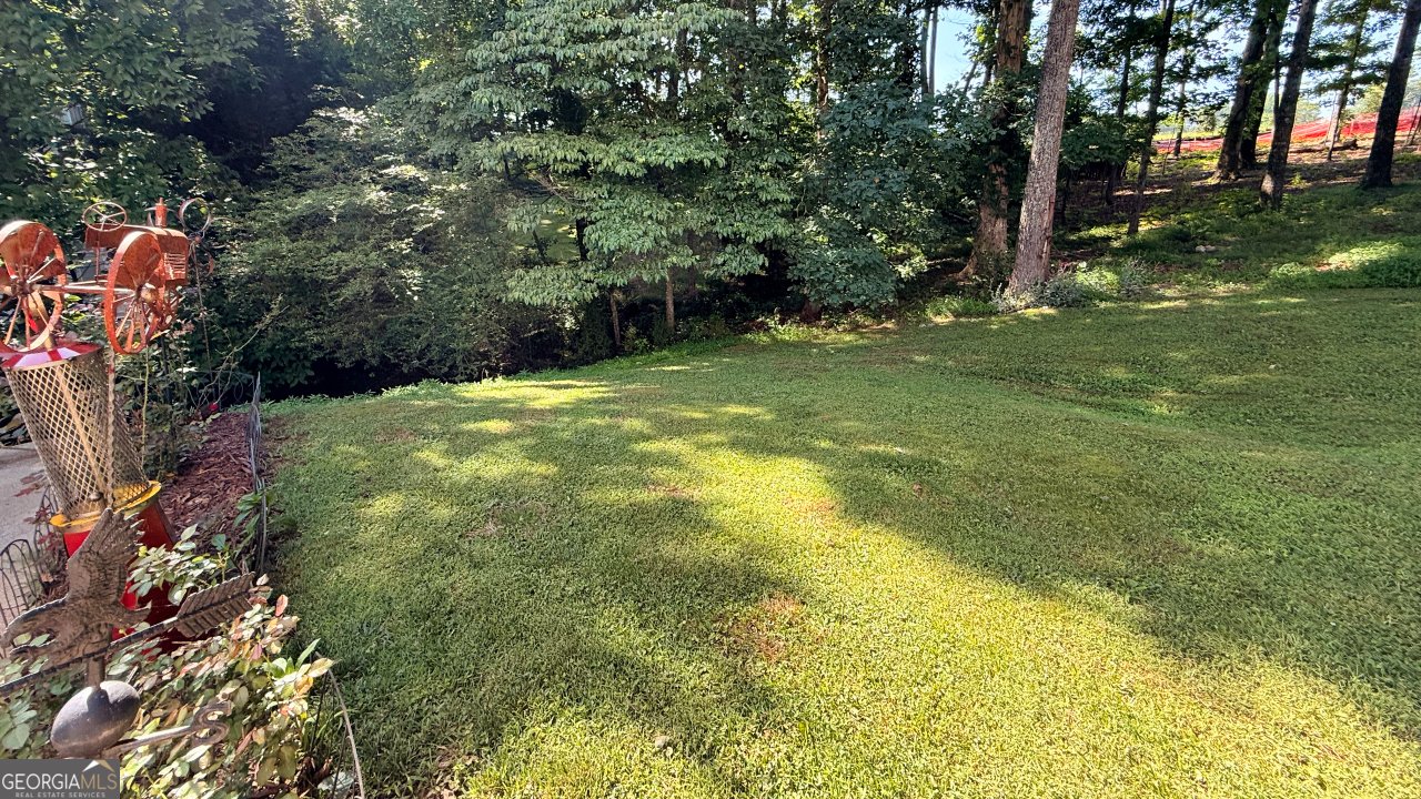 1049 Fieldstone Drive Canton - Photo 47