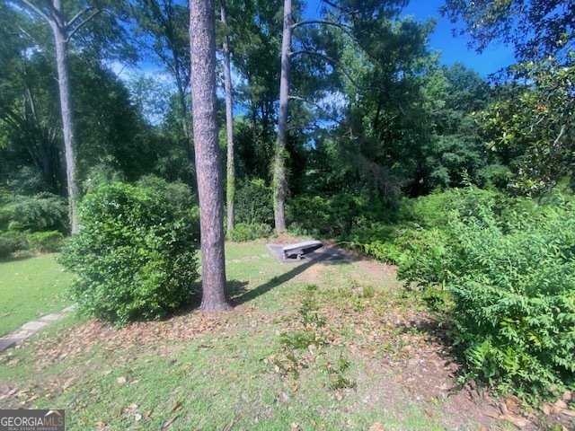 123 Hillcrest Road West Point - Photo 9