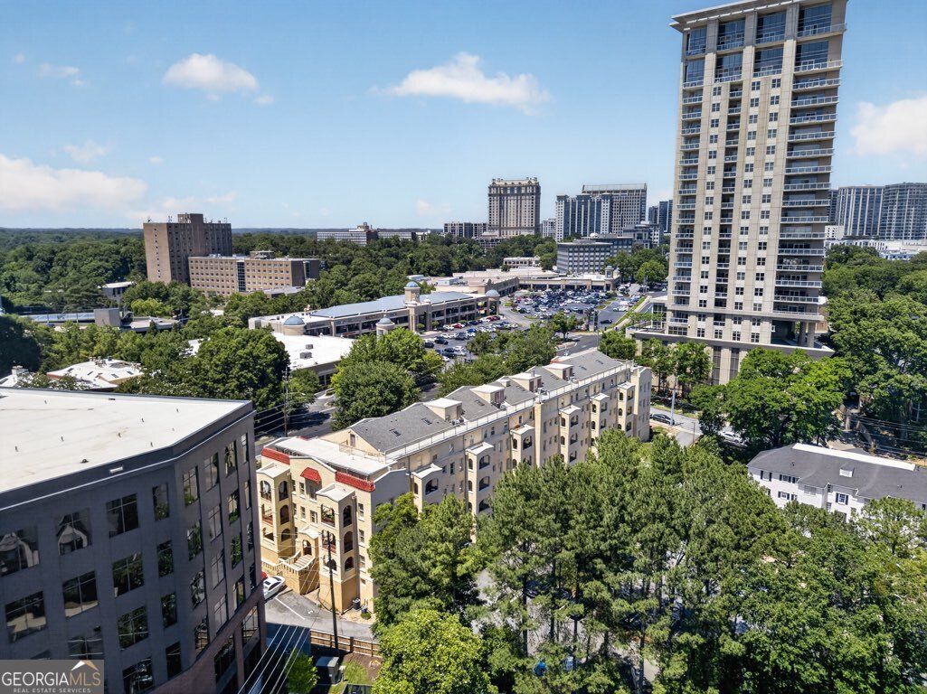 2855 Peachtree Road Atlanta - Photo 52
