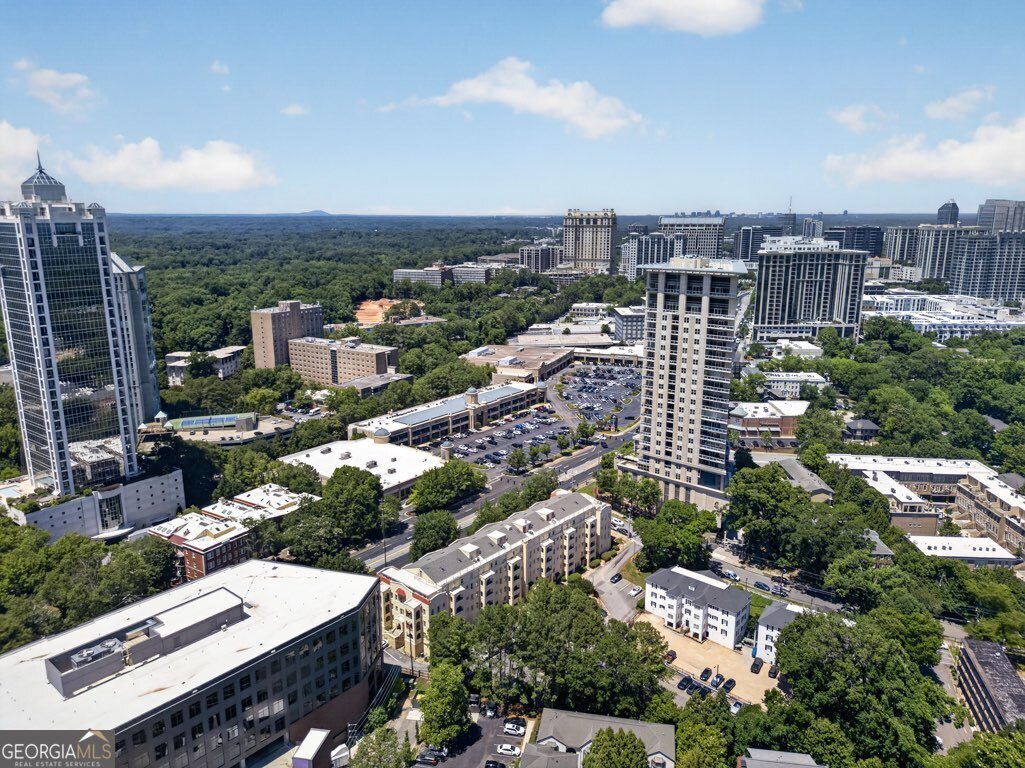 2855 Peachtree Road Atlanta - Photo 53