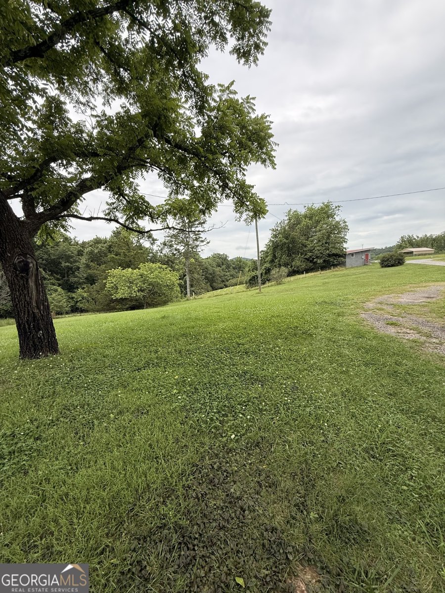 1303 Mount Zion Church Road Murrayville - Photo 12