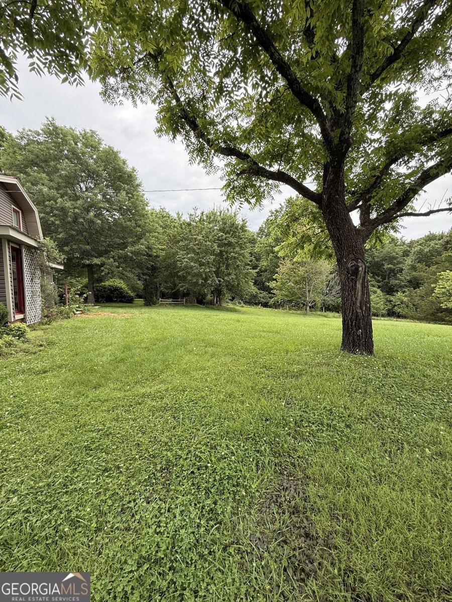 1303 Mount Zion Church Road Murrayville - Photo 13