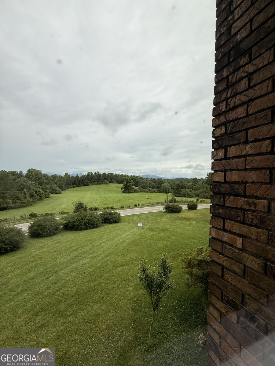 1303 Mount Zion Church Road Murrayville - Photo 19