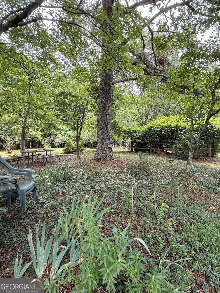 1303 Mount Zion Church Road Murrayville - Photo 20