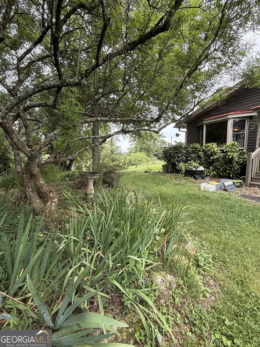 1303 Mount Zion Church Road Murrayville - Photo 6