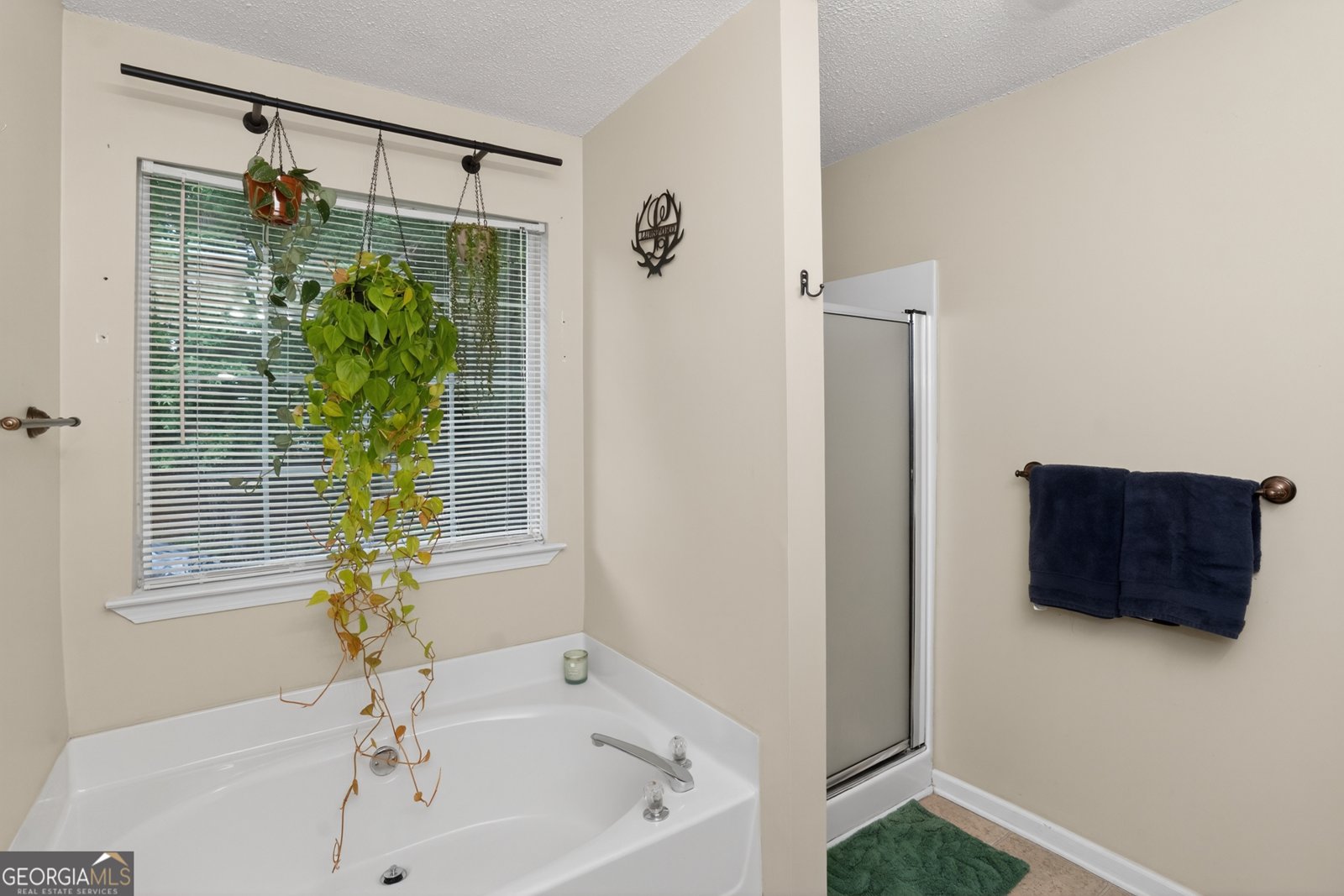 1010 Colvin Drive Locust Grove - Photo 21