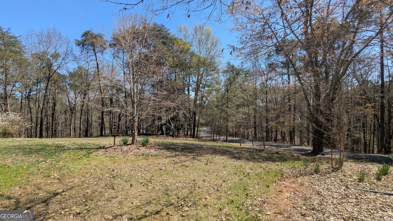 101 Arrow Wood Drive Waleska - Photo 61