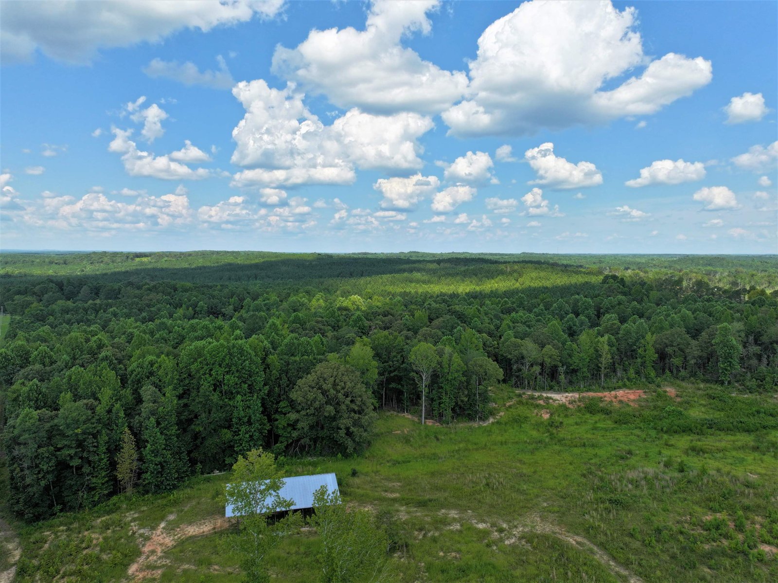 11297 County Road 62 Wadley - Photo 10