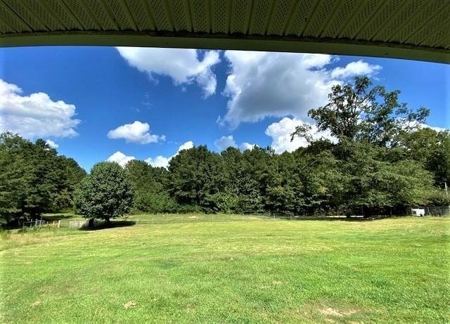 11297 County Road 62 Wadley - Photo 11