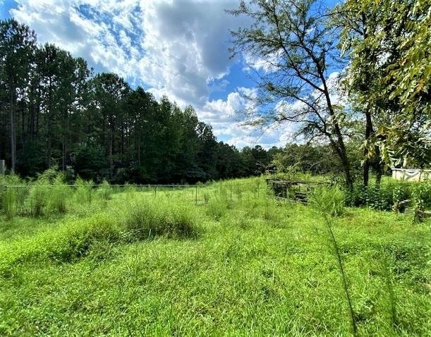 11297 County Road 62 Wadley - Photo 12