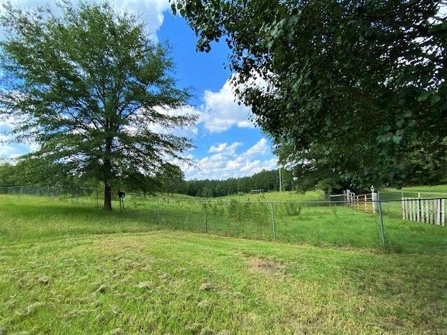 11297 County Road 62 Wadley - Photo 13