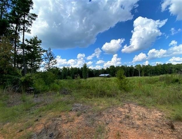 11297 County Road 62 Wadley - Photo 35