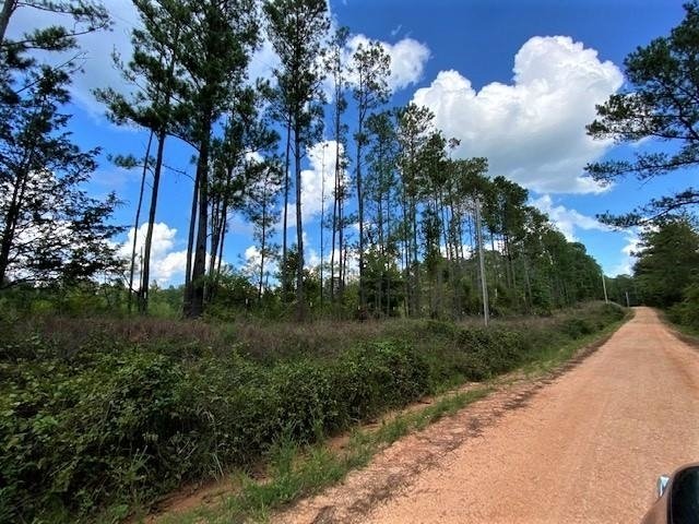 11297 County Road 62 Wadley - Photo 36