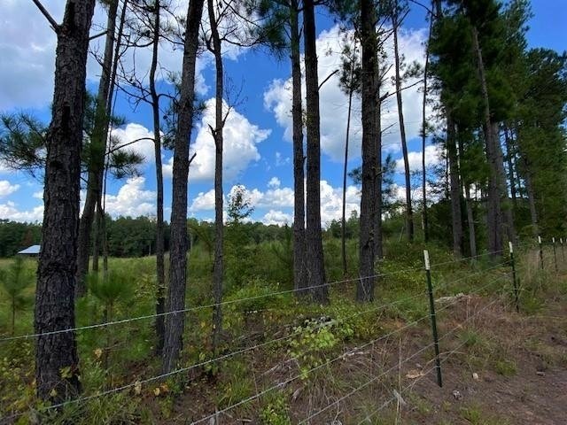 11297 County Road 62 Wadley - Photo 37