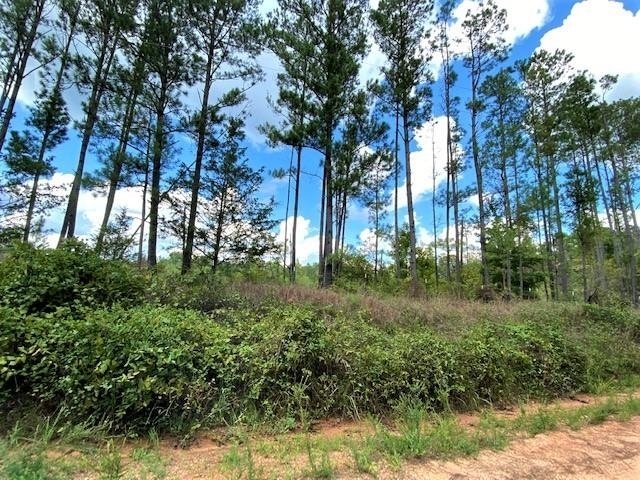 11297 County Road 62 Wadley - Photo 38