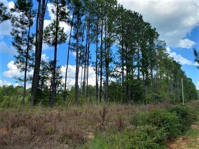 11297 County Road 62 Wadley - Photo 39
