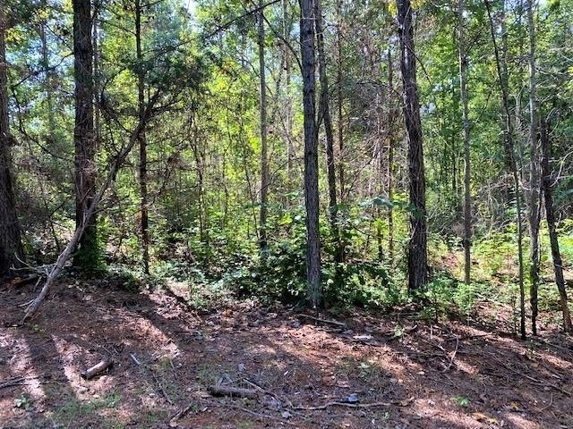 11297 County Road 62 Wadley - Photo 40