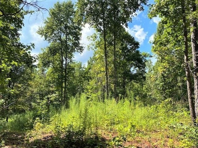 11297 County Road 62 Wadley - Photo 41