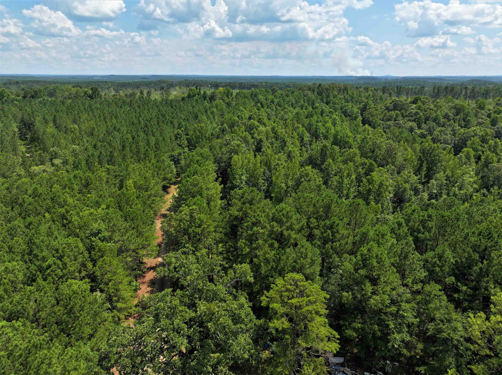 11297 County Road 62 Wadley - Photo 43