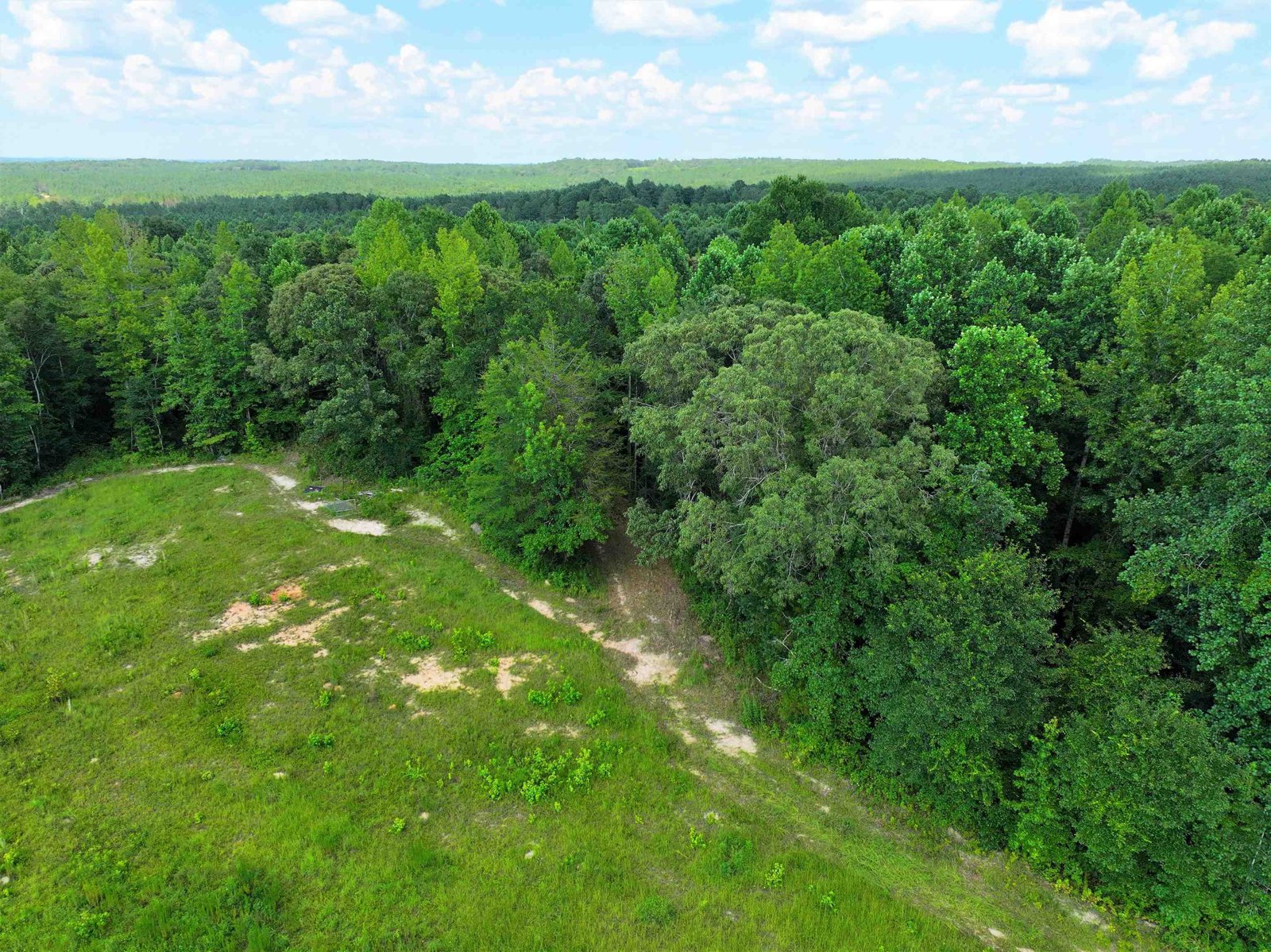 11297 County Road 62 Wadley - Photo 47