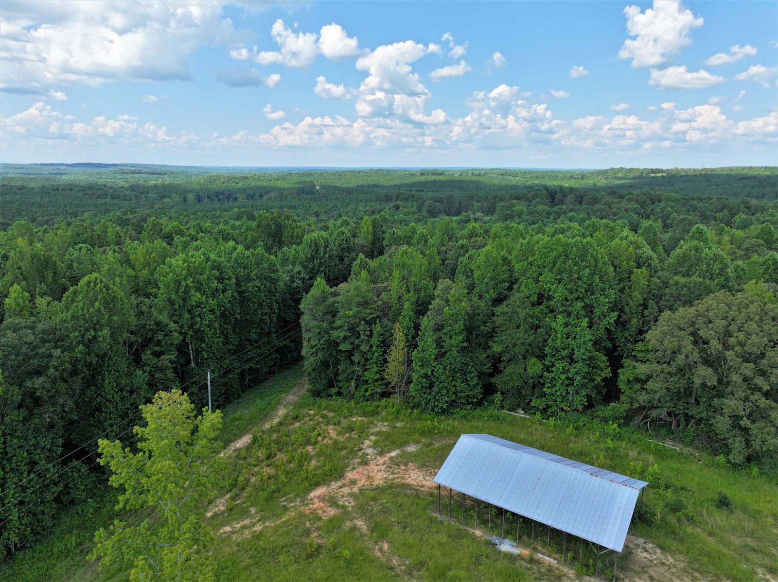 11297 County Road 62 Wadley - Photo 48