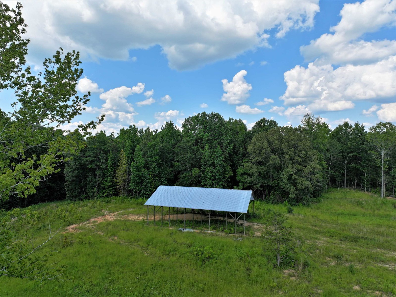11297 County Road 62 Wadley - Photo 50