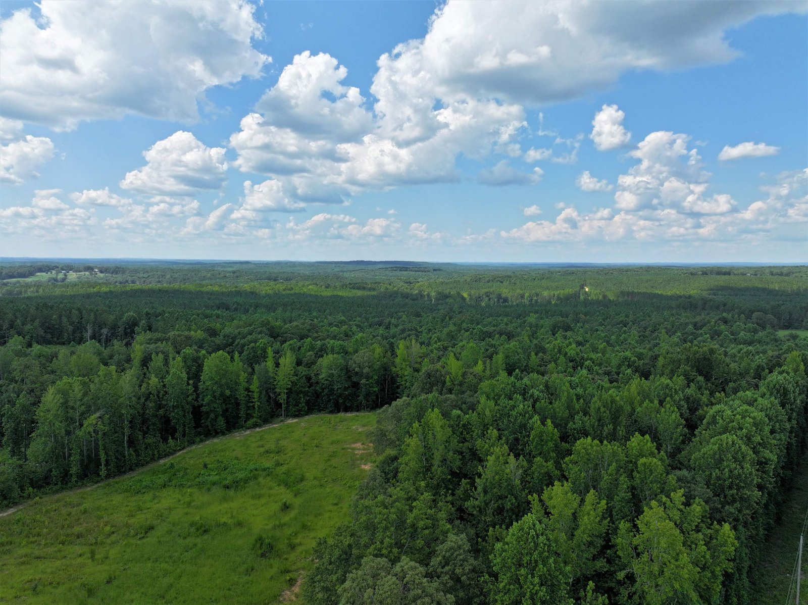 11297 County Road 62 Wadley - Photo 8