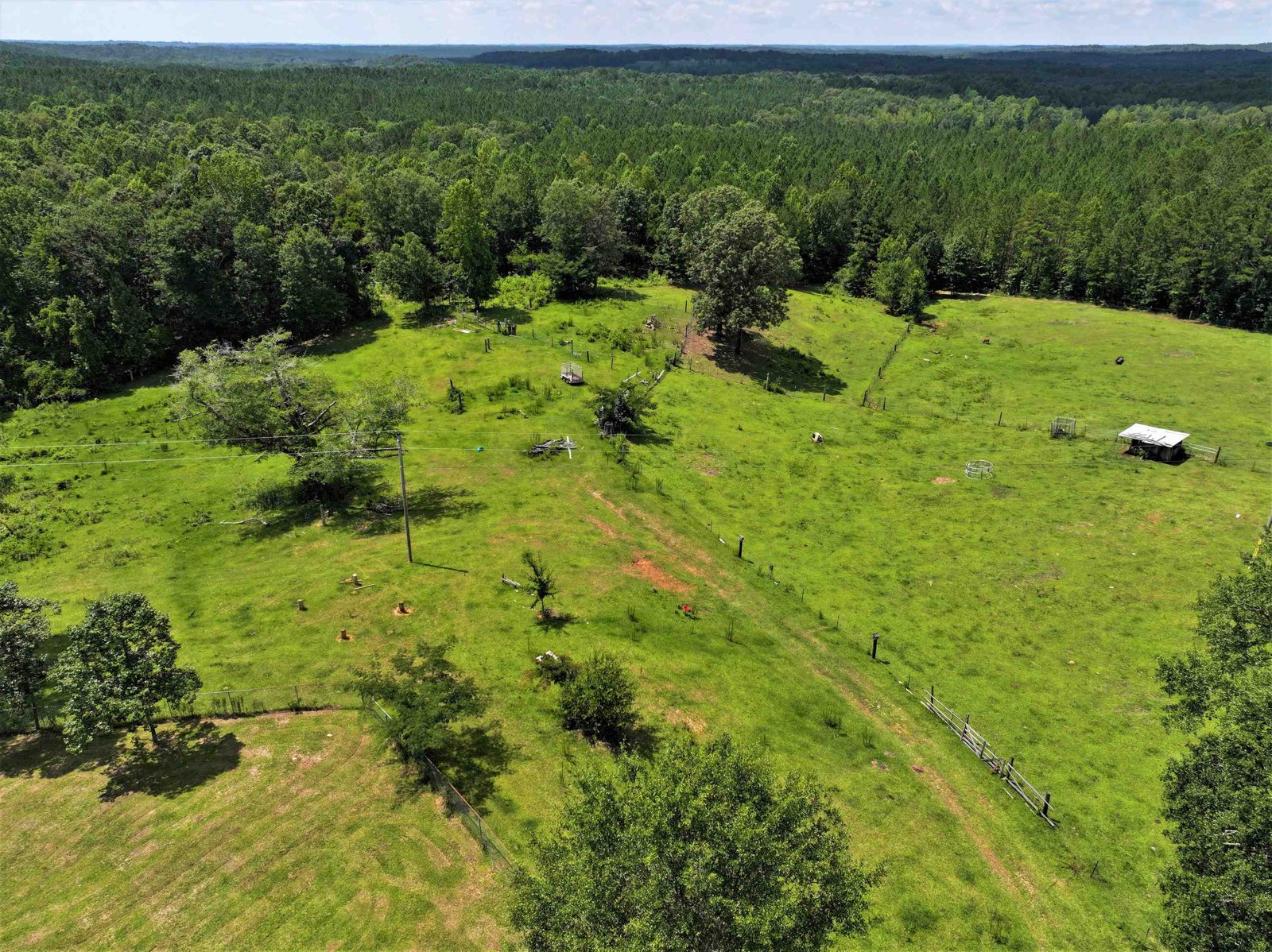 11297 County Road 62 Wadley - Photo 9