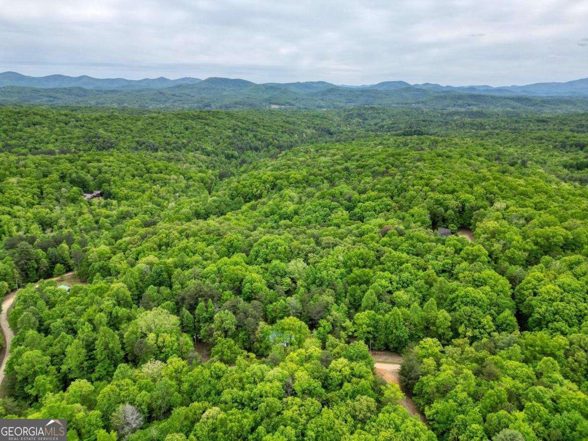 85 Cold Springs Road Morganton - Photo 34