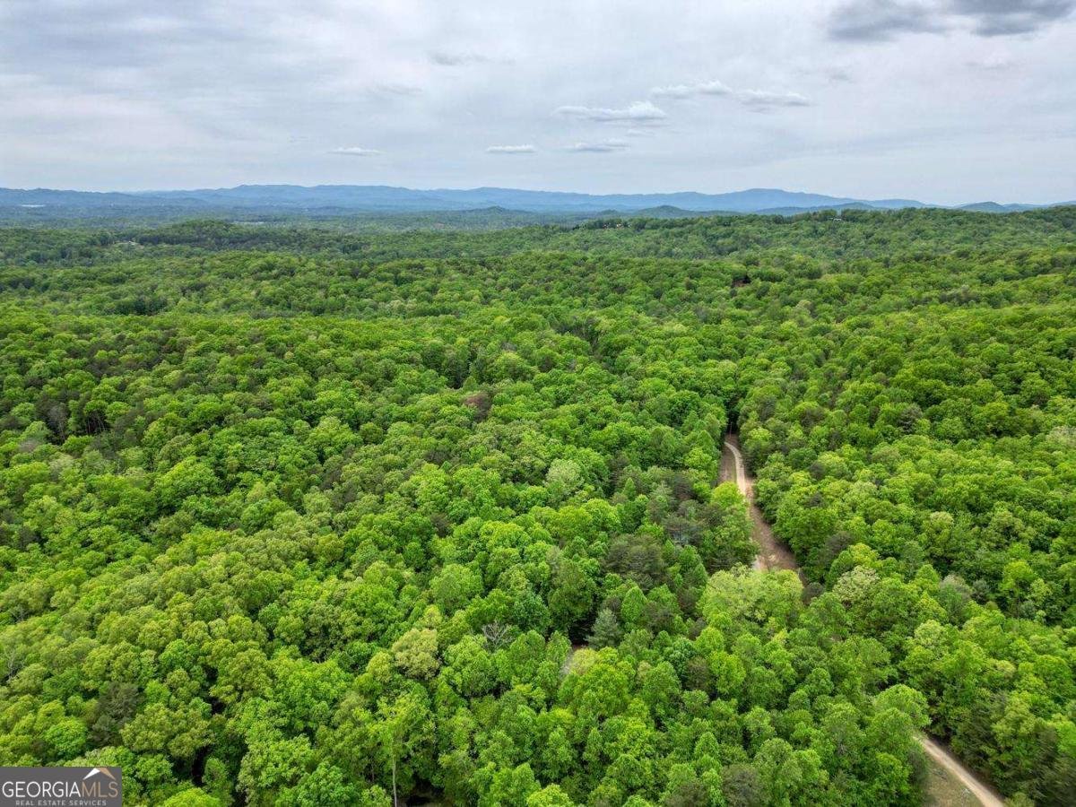 85 Cold Springs Road Morganton - Photo 35