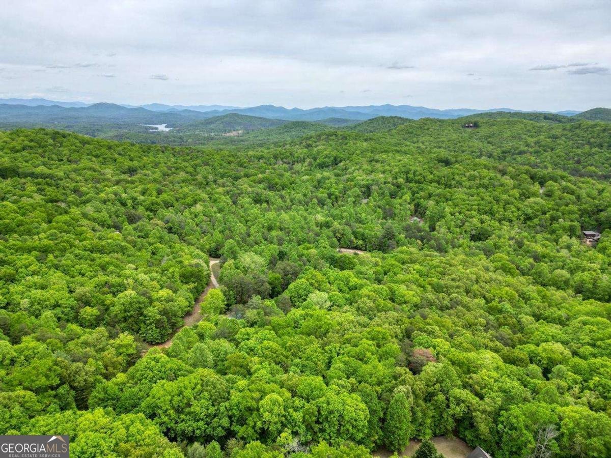 85 Cold Springs Road Morganton - Photo 36