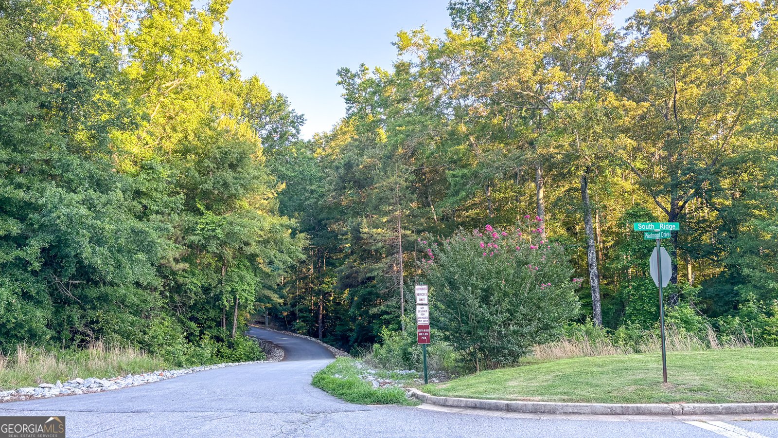 195 Southridge Senoia - Photo 42