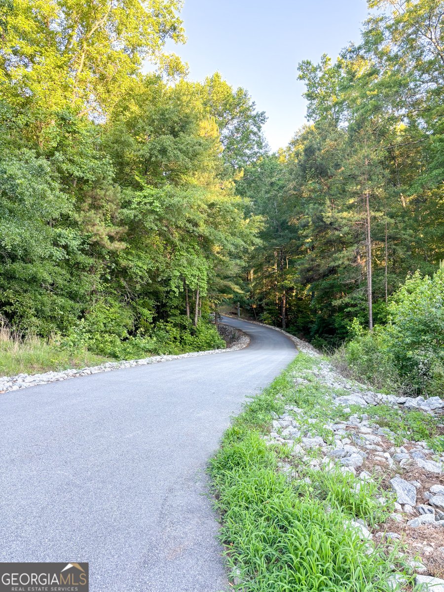 195 Southridge Senoia - Photo 44