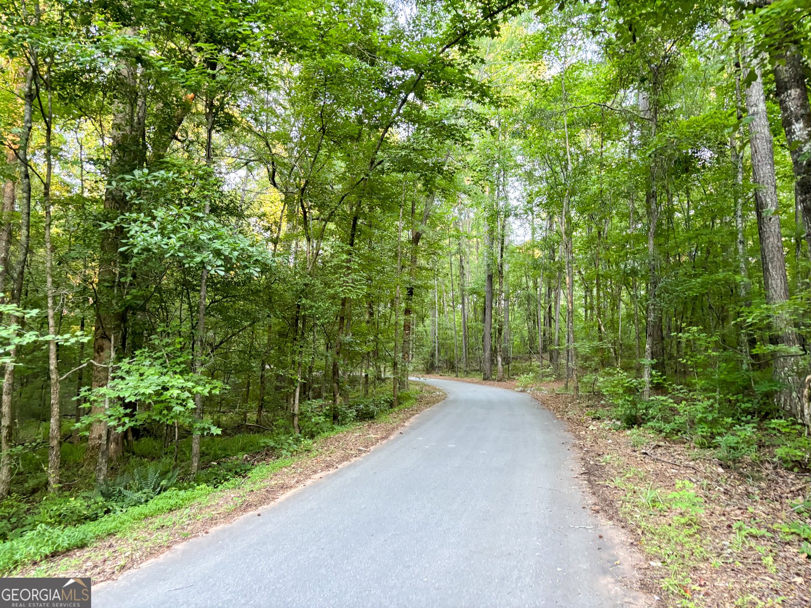 195 Southridge Senoia - Photo 45