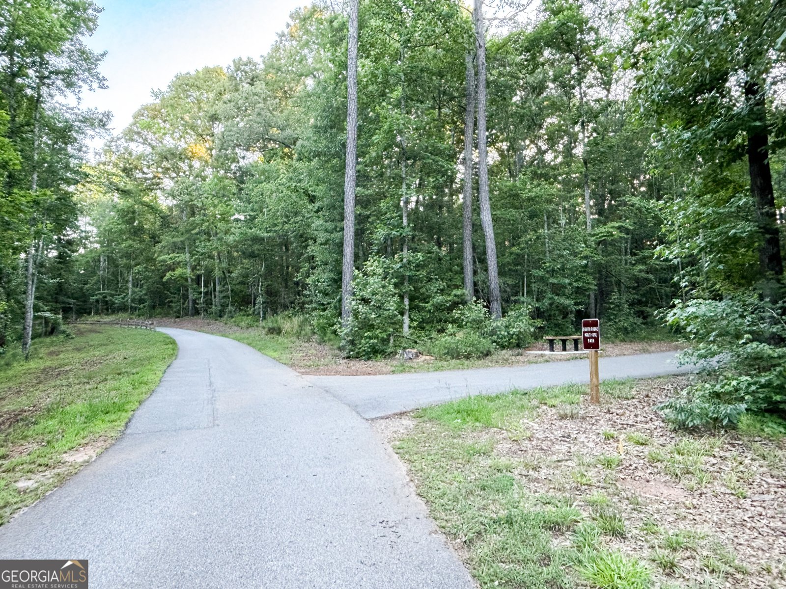 195 Southridge Senoia - Photo 46