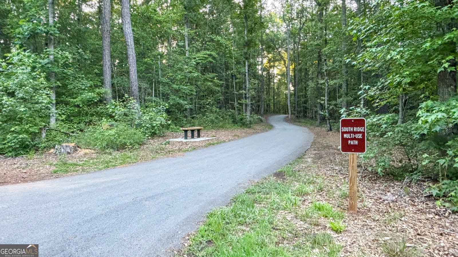 195 Southridge Senoia - Photo 47