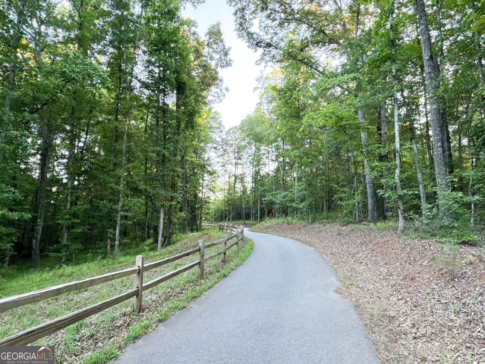 195 Southridge Senoia - Photo 48